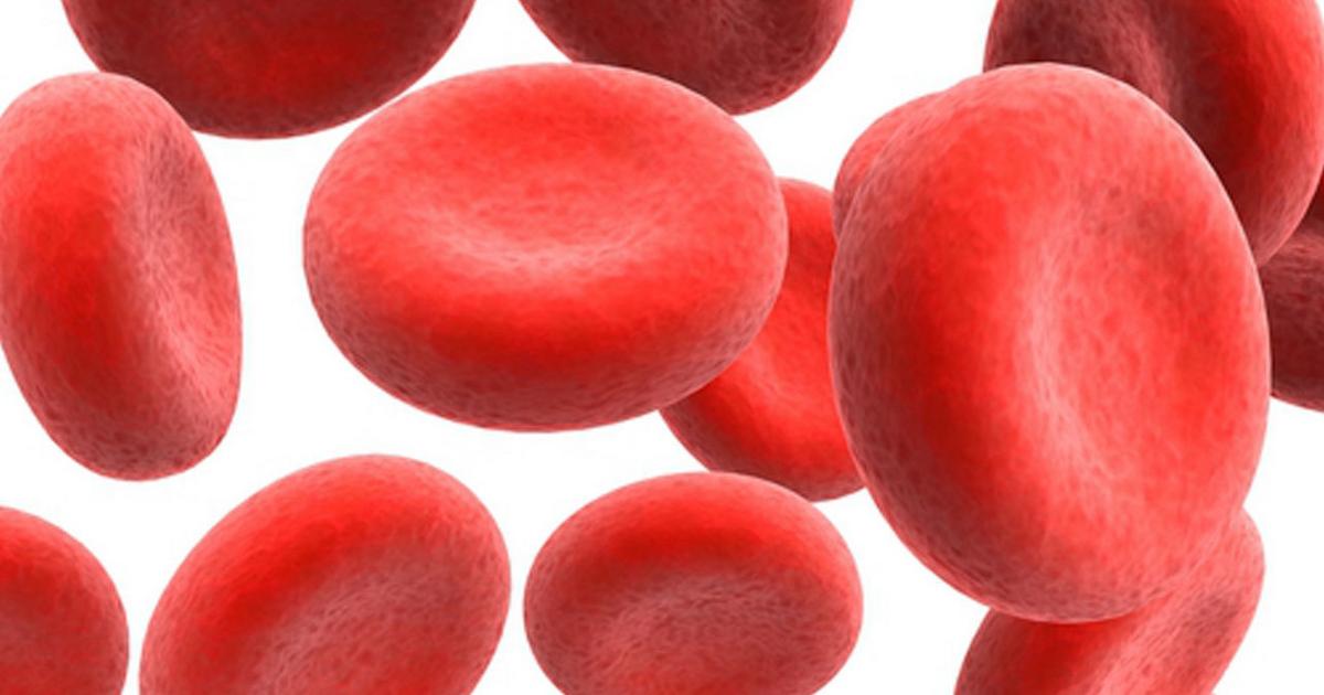 These fruits and foods can help in increasing hemoglobin level and blood cells