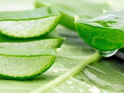 What are the benefits of Aloe vera! And how to use it? – Benefits of Aloe Vera | Health Care Tips