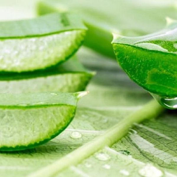 What are the benefits of Aloe vera! And how to use it? – Benefits of Aloe Vera | Health Care Tips