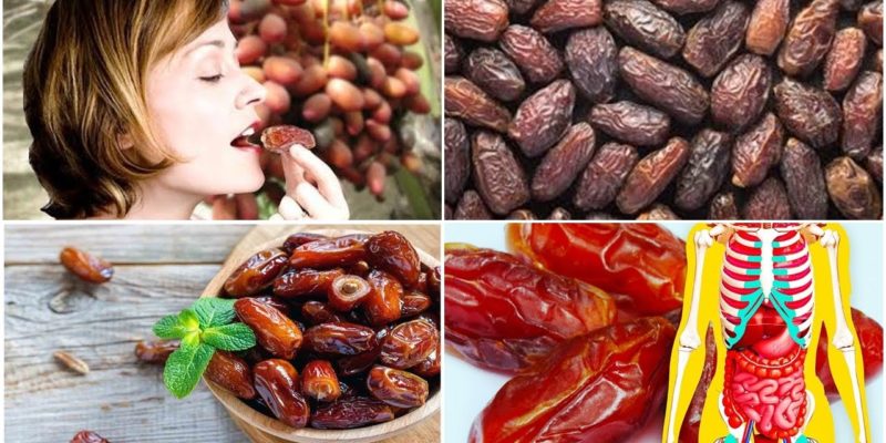 Know about the health benefits of dates